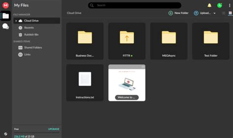 mega cloud|mega cloud website.